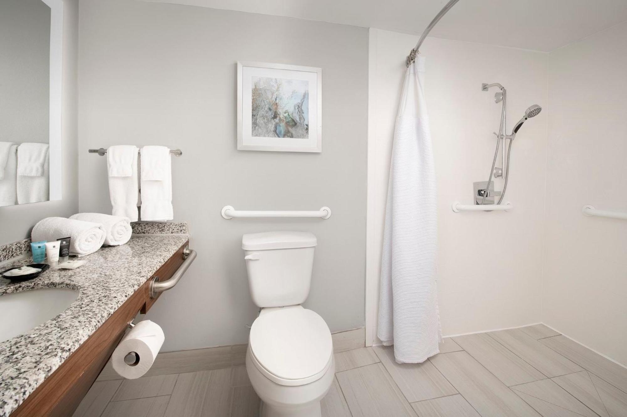 Standard King Room Mobility Accessible Roll Shower