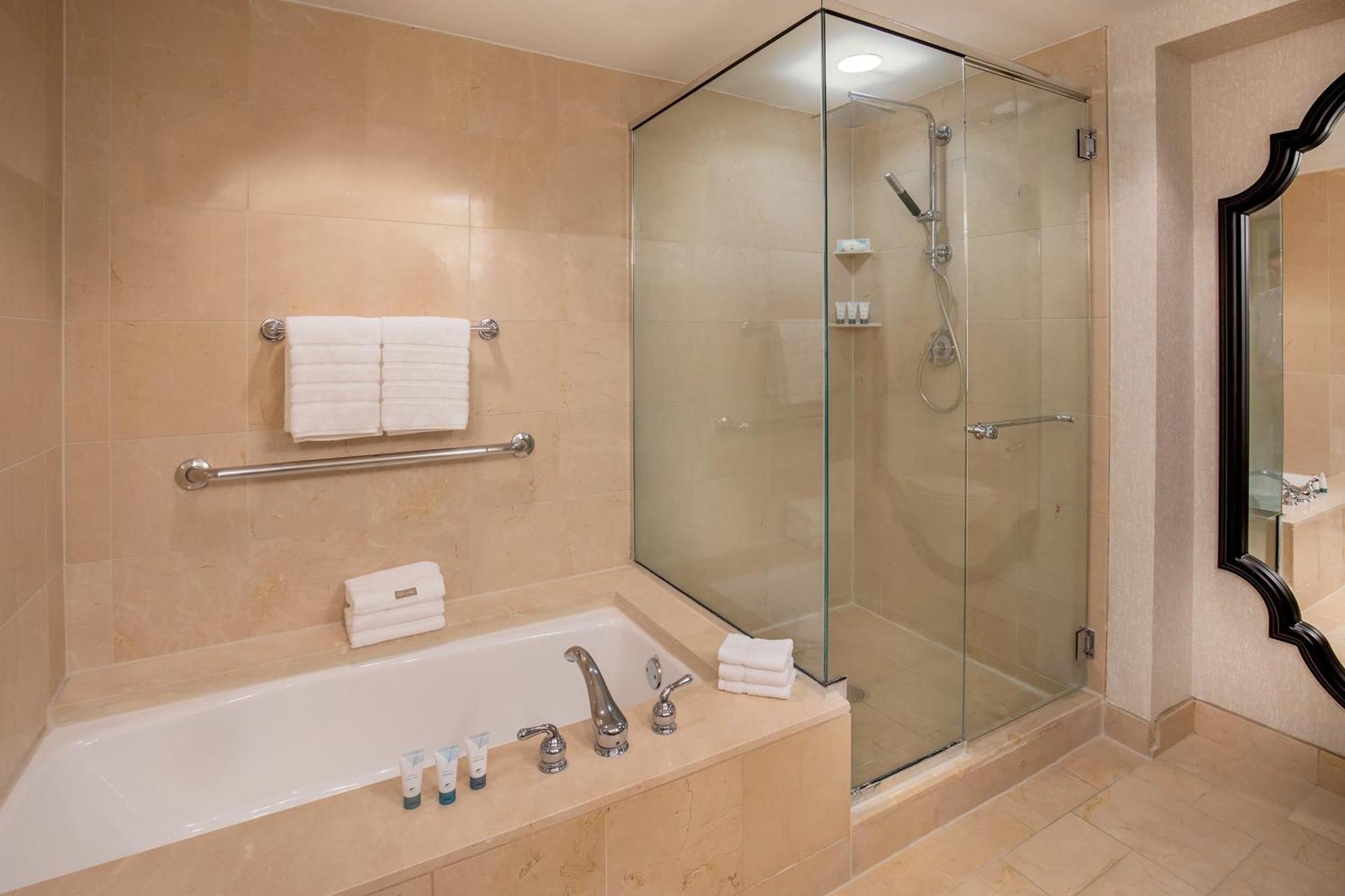 1 Bedroom Studio Suite 1 King Sofa bed City view