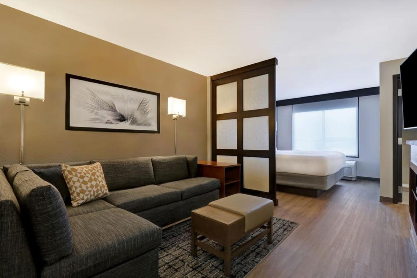 King Room Sofa Bed Accessible Tub Disability Access