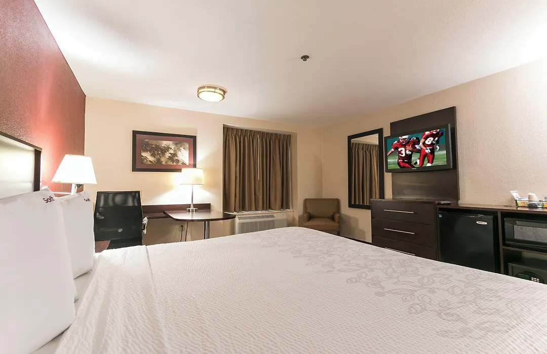 Red Roof Inn Plus+ San Antonio Downtown - Riverwalk-1